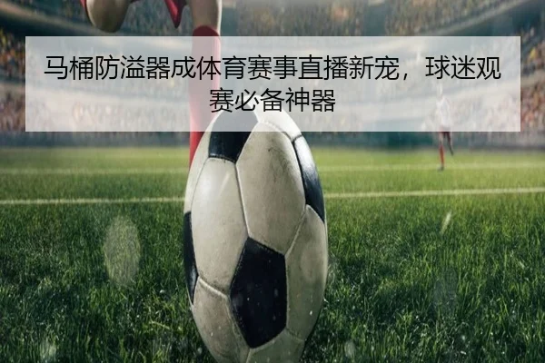 马桶防溢器成体育赛事直播新宠，球迷观赛必备神器
